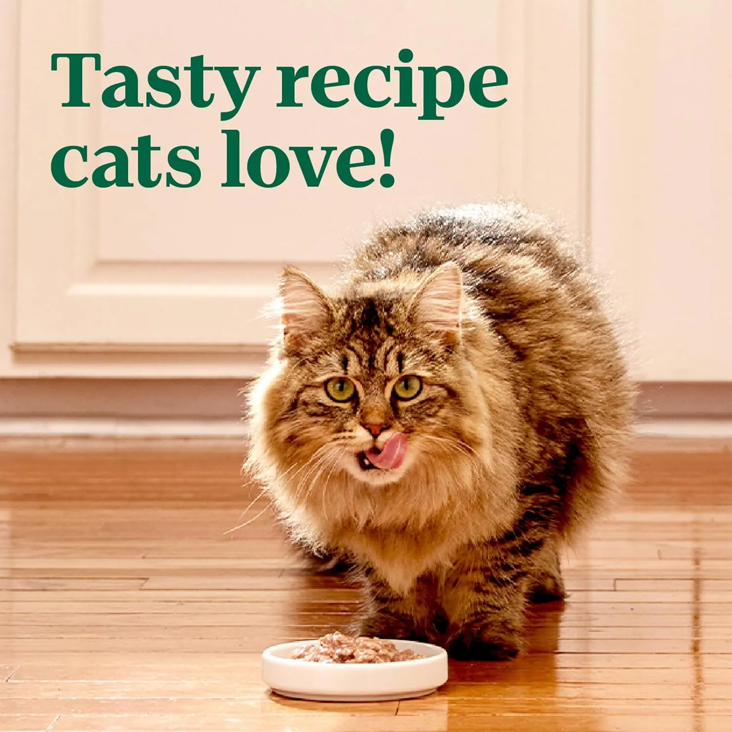 NUTRO Grain Free Natural Soft Wet Cat Food Cuts in Gravy Turkey Recipe, (24) 2.6 oz. PERFECT PORTIONS Twin-Pack Trays