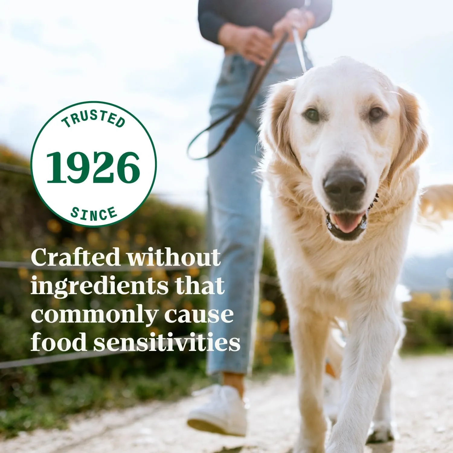 NUTRO Limited Ingredient Diet Adult Canned Soft Wet Dog Food Premium Loaf Turkey & Potato Recipe, 12.5 oz cans (12 Count, Pack of 1)