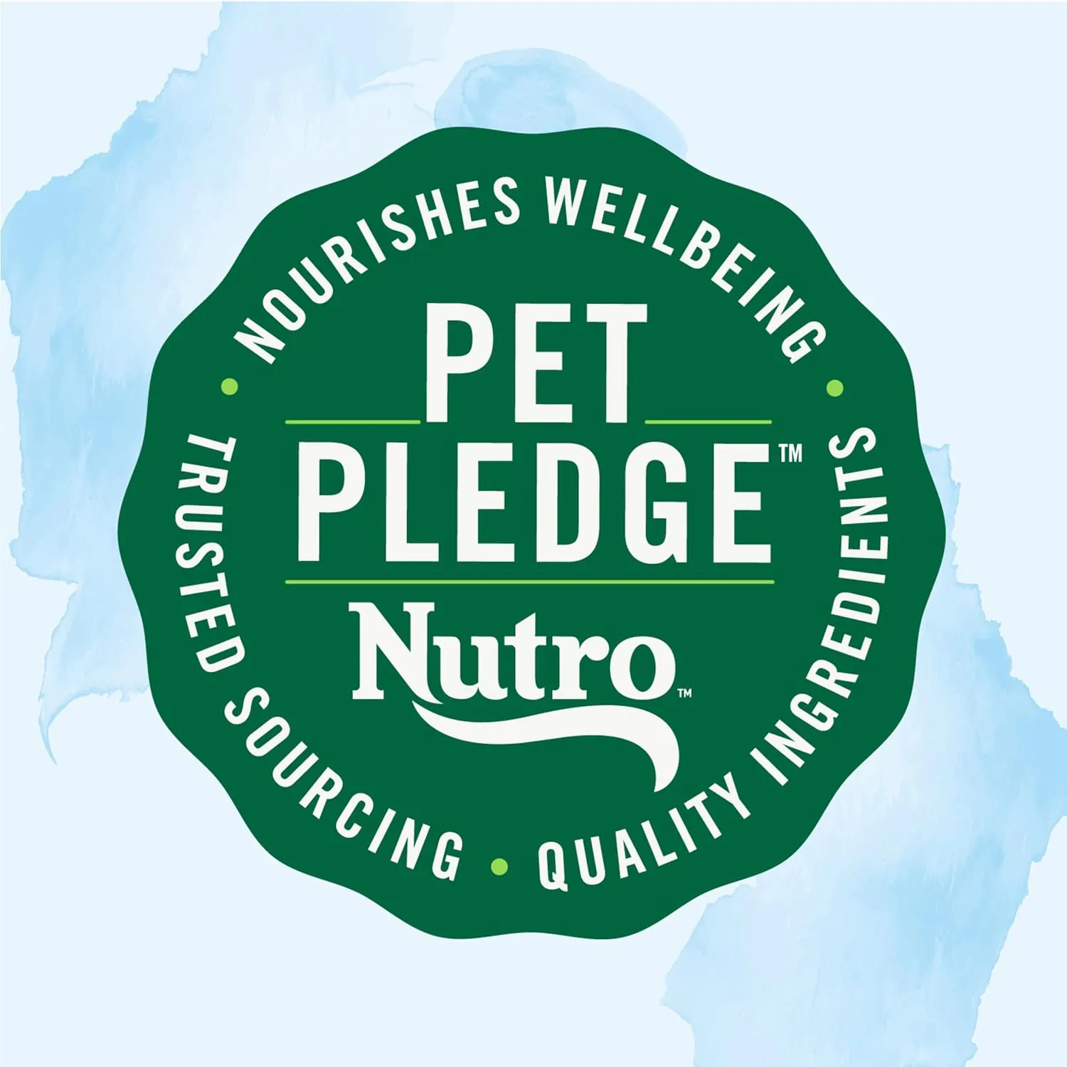 NUTRO Limited Ingredient Diet Adult Canned Soft Wet Dog Food Premium Loaf Turkey & Potato Recipe, 12.5 oz cans (12 Count, Pack of 1)