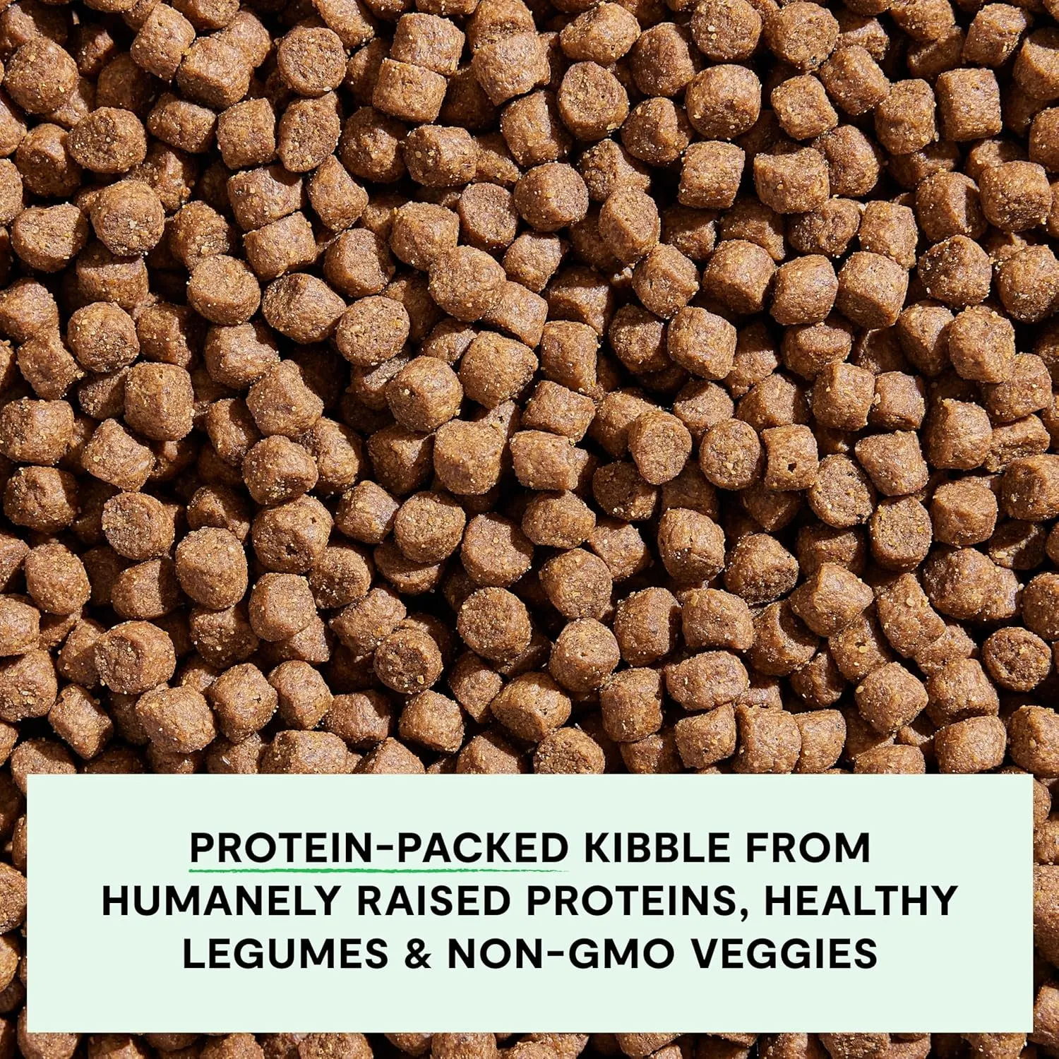 Open Farm, Grain-Free Dry Dog Food for Puppies, Protein-Packed Kibble, Sustainably & Ethically Sourced Ingredients, Non-GMO Veggies & Superfoods, Salmon & Sweet Potato Puppy Recipe, 22lb Bag