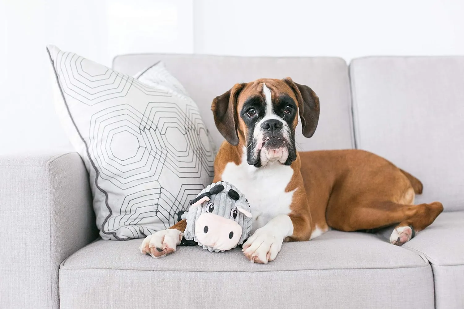 Outward Hound Fattiez Cow Plush Squeaky Dog Toy, Medium