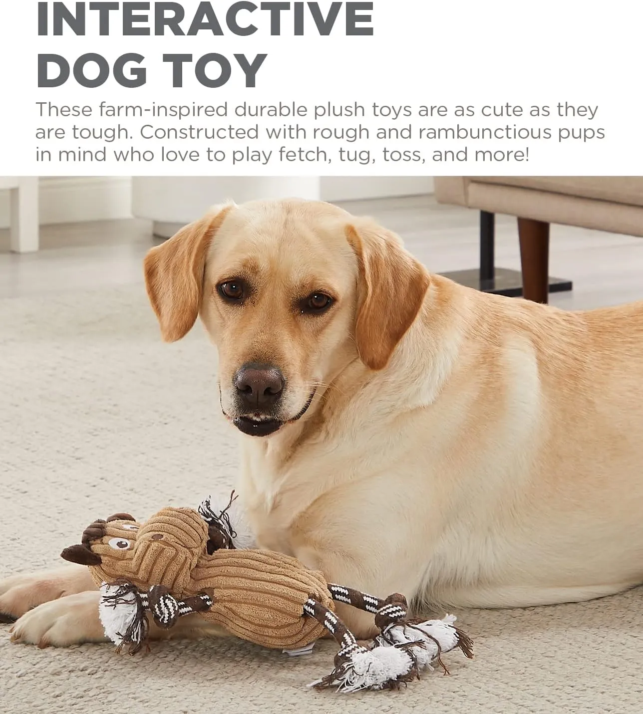 Outward Hound Ranch Roperz Horse Plush Squeaky Dog Toy