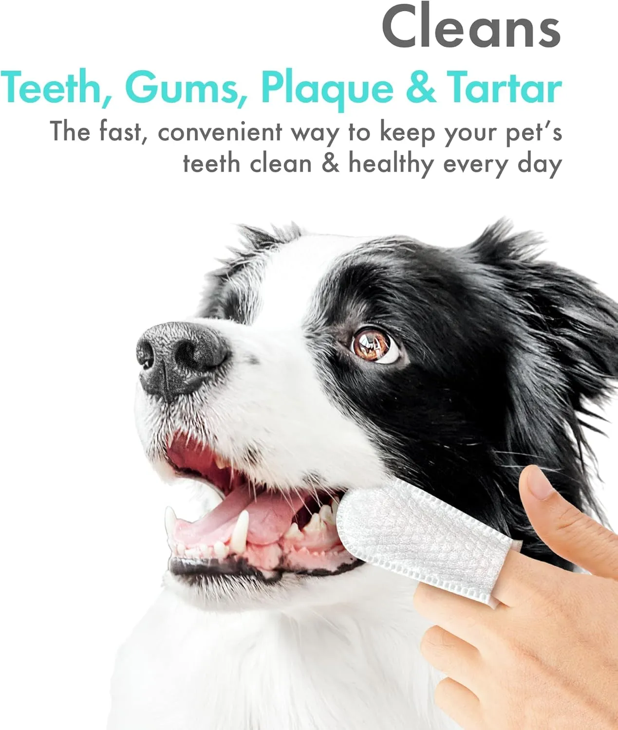 Petkin Fingertip Tooth Wipes for Dogs and Cats, 100 Finger Wipes - Slip-On, Snug Fit, Micro-Bristle Fabric - Cleans Teeth, Gums, Plaque & Tartar - Convenient, Ideal for Home and Travel - Fresh Mint