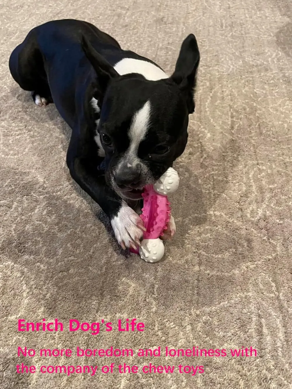 Puppy Chew Toys for Teething 3 Pack - Tough Dental Puppy Toys for Light Chewers Small/Medium Breeds, Cute Pink Rubber-Coated Nylon Bone Toy for Teething Puppies