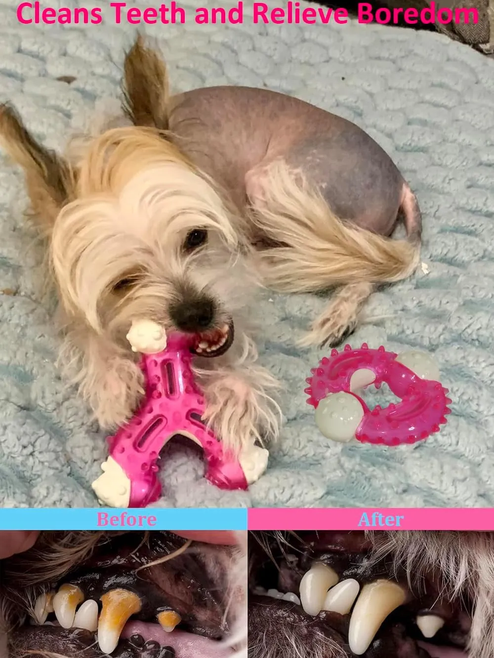 Puppy Chew Toys for Teething 3 Pack - Tough Dental Puppy Toys for Light Chewers Small/Medium Breeds, Cute Pink Rubber-Coated Nylon Bone Toy for Teething Puppies