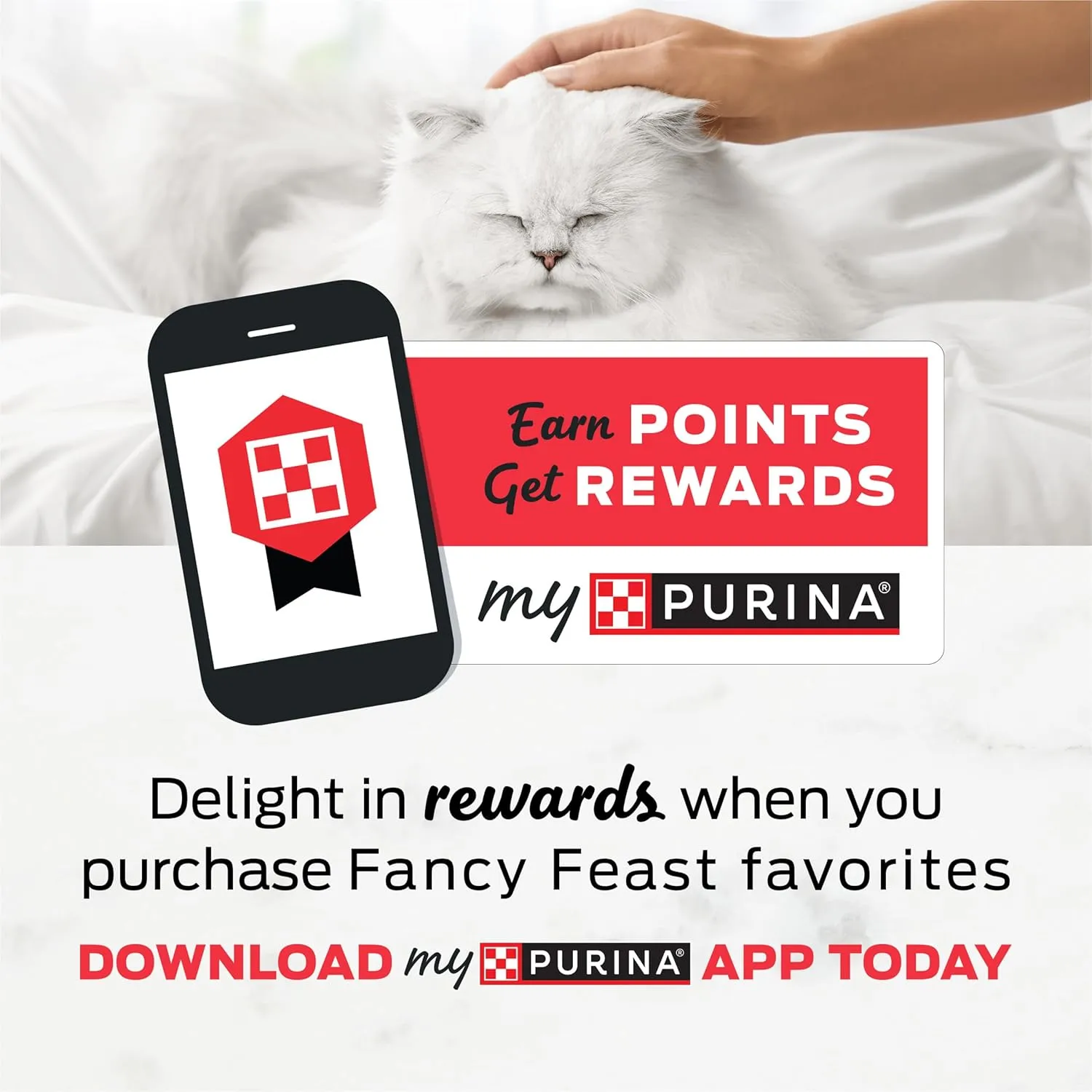 Purina Fancy Feast Kitten Tender Ocean Whitefish Feast and Tender Turkey Feast Wet Kitten Food Variety Pack - (2 Packs of 12) 3 oz. Cans