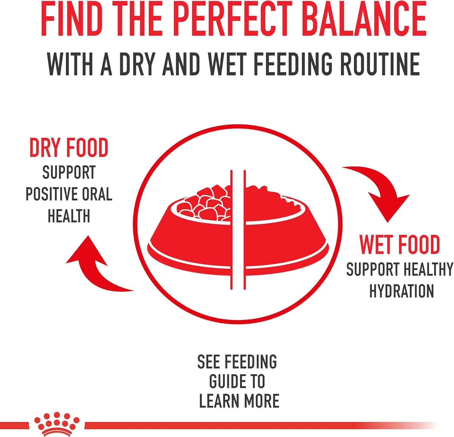 Royal Canin Poodle Adult Breed Specific Wet Dog Food, 3 oz can (6-Pack)