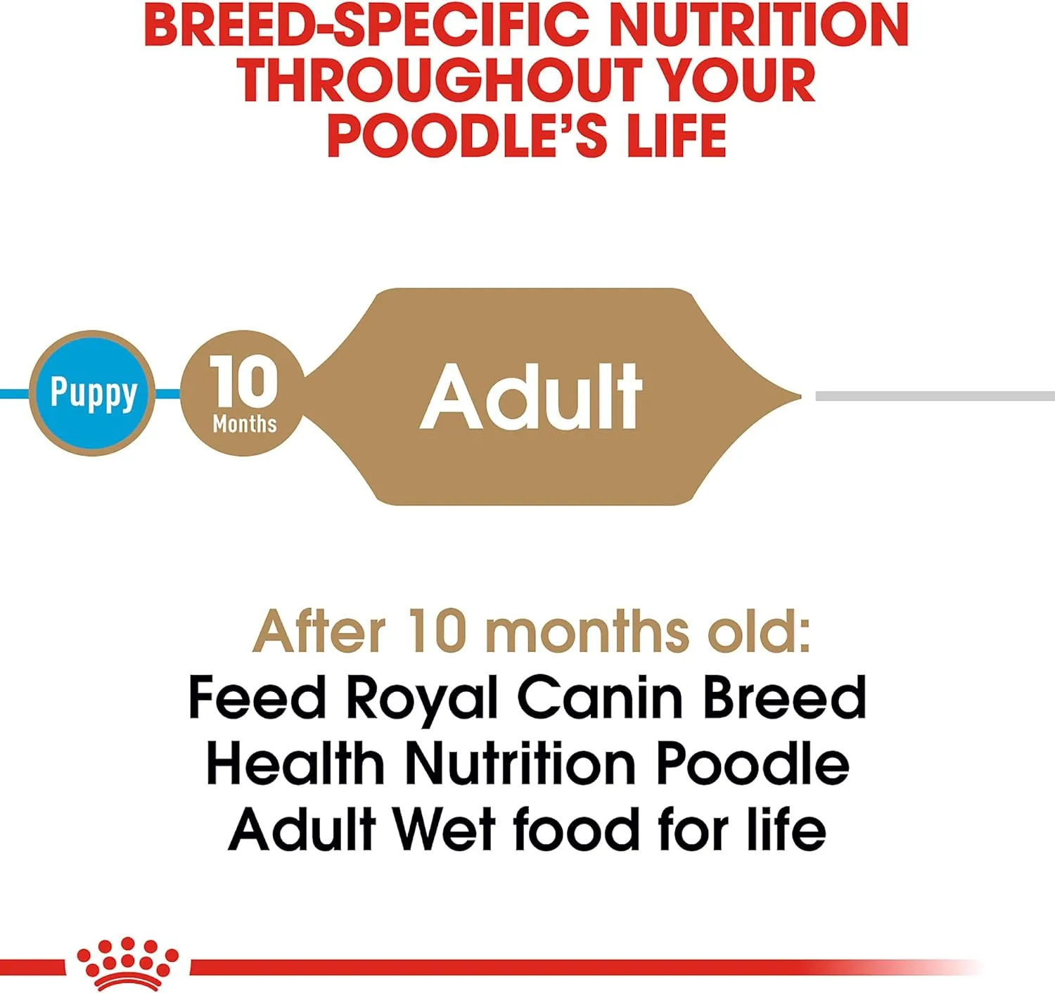 Royal Canin Poodle Adult Breed Specific Wet Dog Food, 3 oz can (6-Pack)