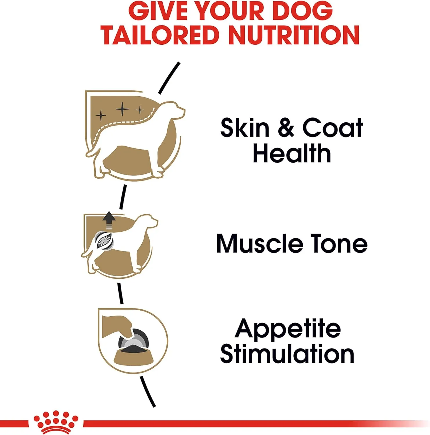 Royal Canin Poodle Adult Breed Specific Wet Dog Food, 3 oz can (6-Pack)