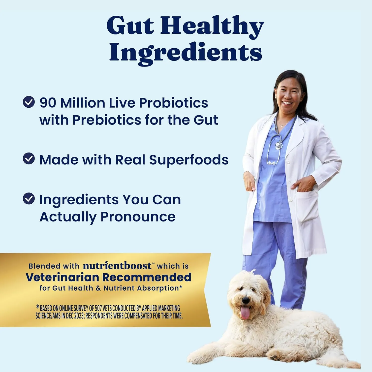 Solid Gold Salmon Dog Food for Sensitive Stomachs  Grain Free & Gluten Free Kibble w/Probiotics to Support Gut Health & Digestion - Sensitive Stomach Dog Food for All Ages  Nutrientboost  3.75 LB