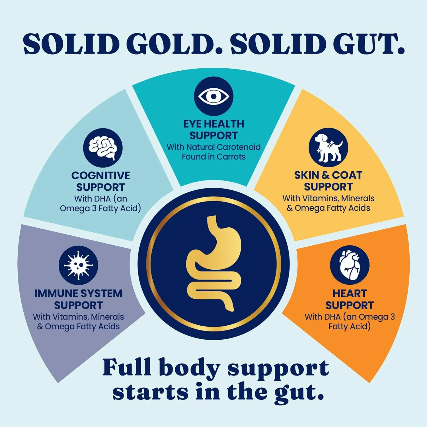 Solid Gold Salmon Dog Food for Sensitive Stomachs  Grain Free & Gluten Free Kibble w/Probiotics to Support Gut Health & Digestion - Sensitive Stomach Dog Food for All Ages  Nutrientboost  3.75 LB