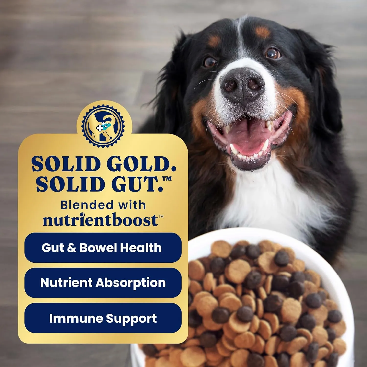 Solid Gold Salmon Dog Food for Sensitive Stomachs  Grain Free & Gluten Free Kibble w/Probiotics to Support Gut Health & Digestion - Sensitive Stomach Dog Food for All Ages  Nutrientboost  3.75 LB