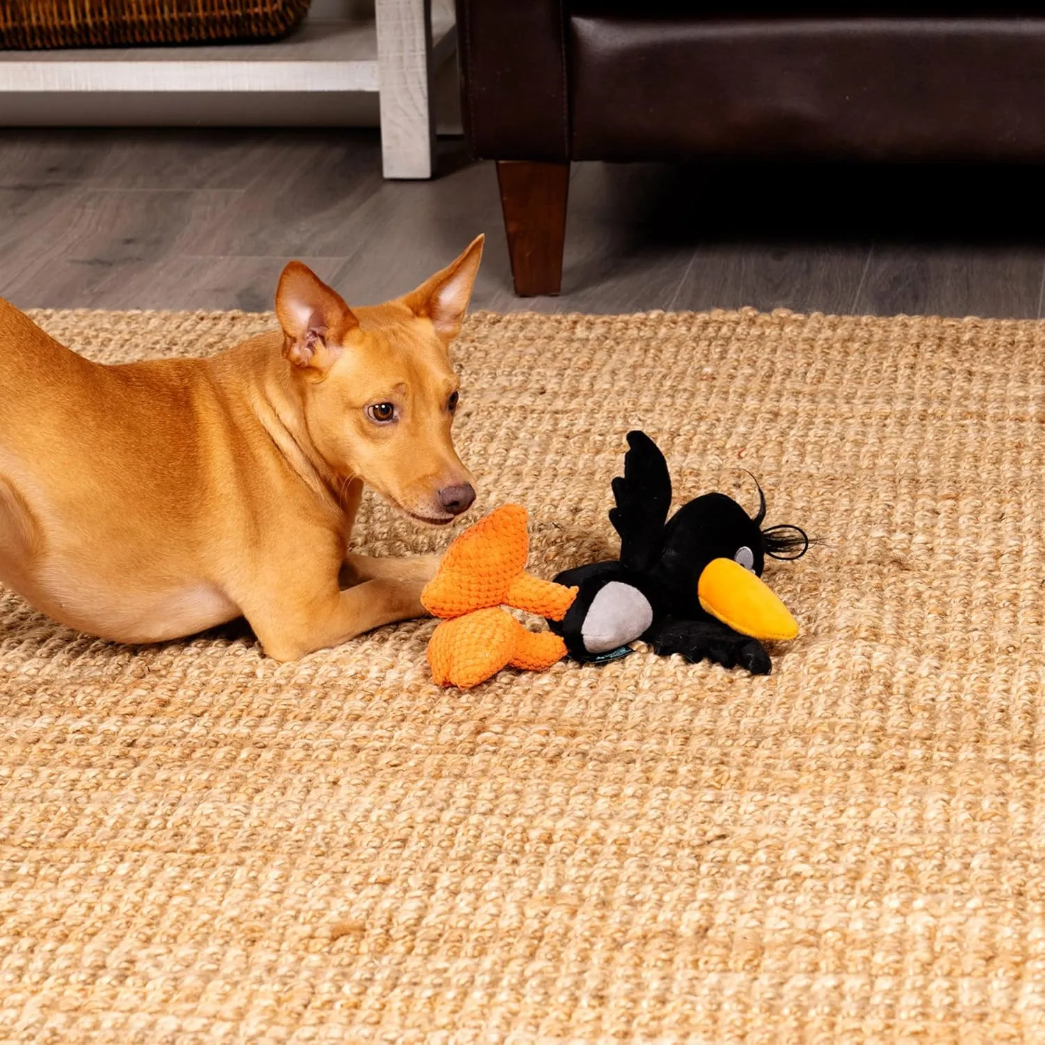 Strong 'N Silent Birds Crow Silent Squeak Plush Dog Toy, Chew Guard Technology - Black, Large