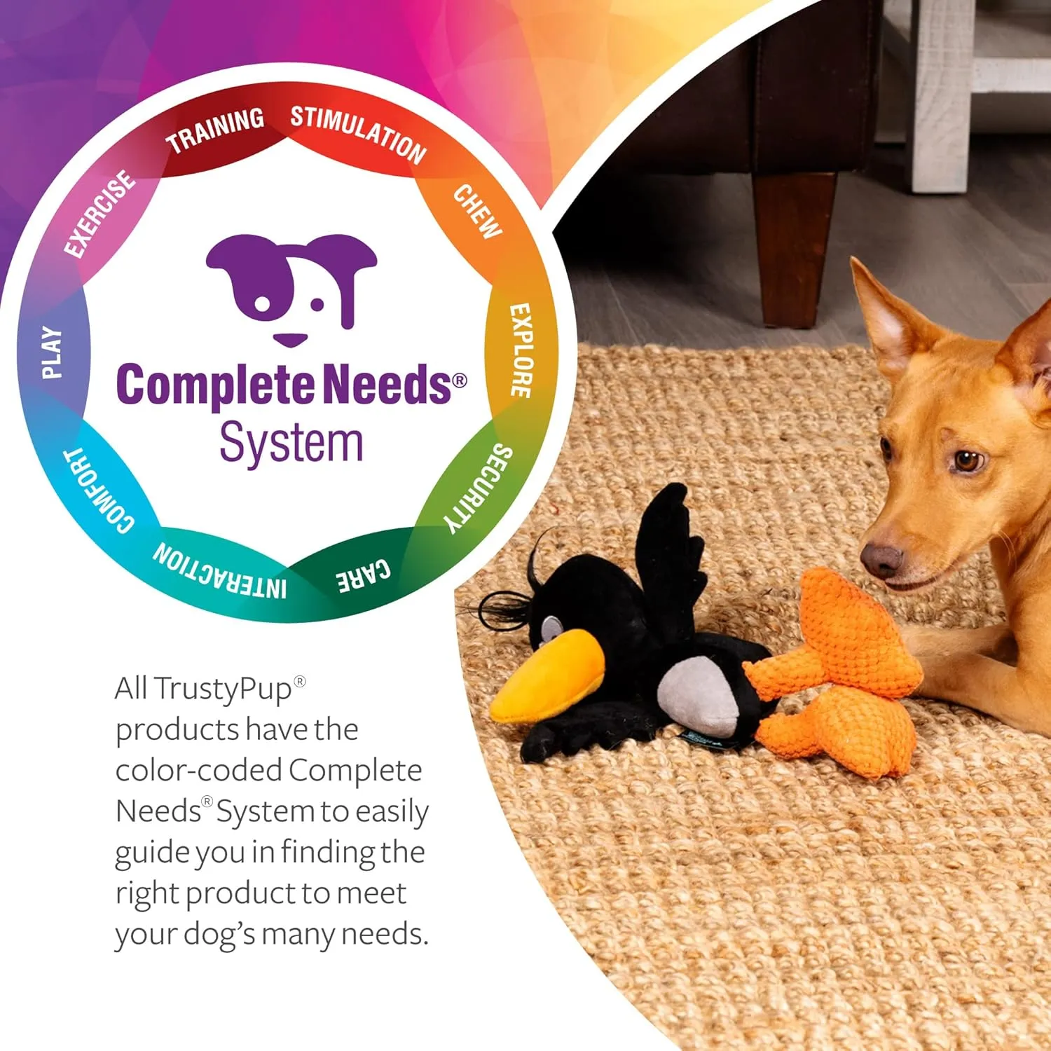 Strong 'N Silent Birds Crow Silent Squeak Plush Dog Toy, Chew Guard Technology - Black, Large