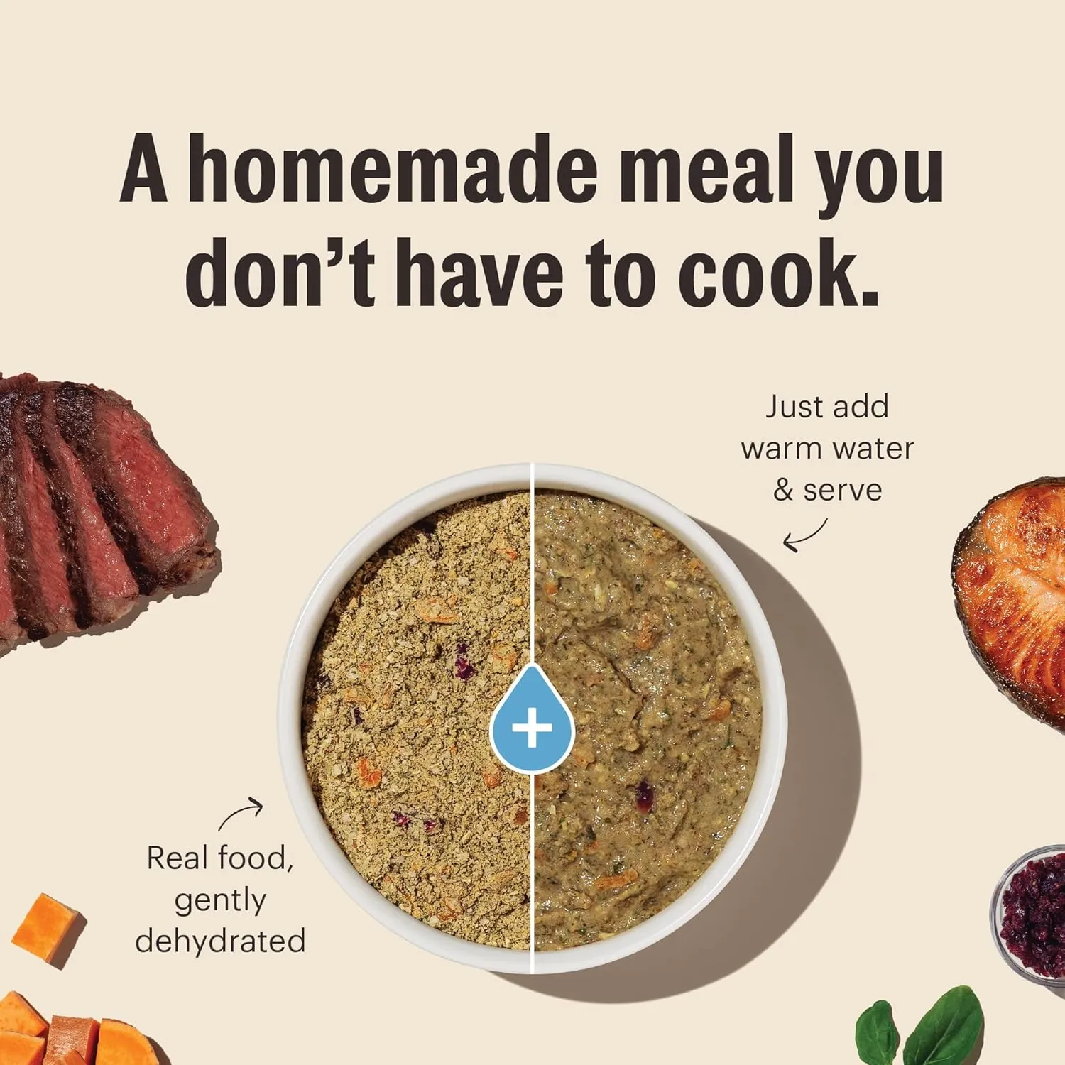 The Honest Kitchen Human Grade Dehydrated Whole Grain Dog Food  Complete Meal or Dog Food Topper  Turkey, 10 Pound (Pack of 1) (makes 40 lbs)