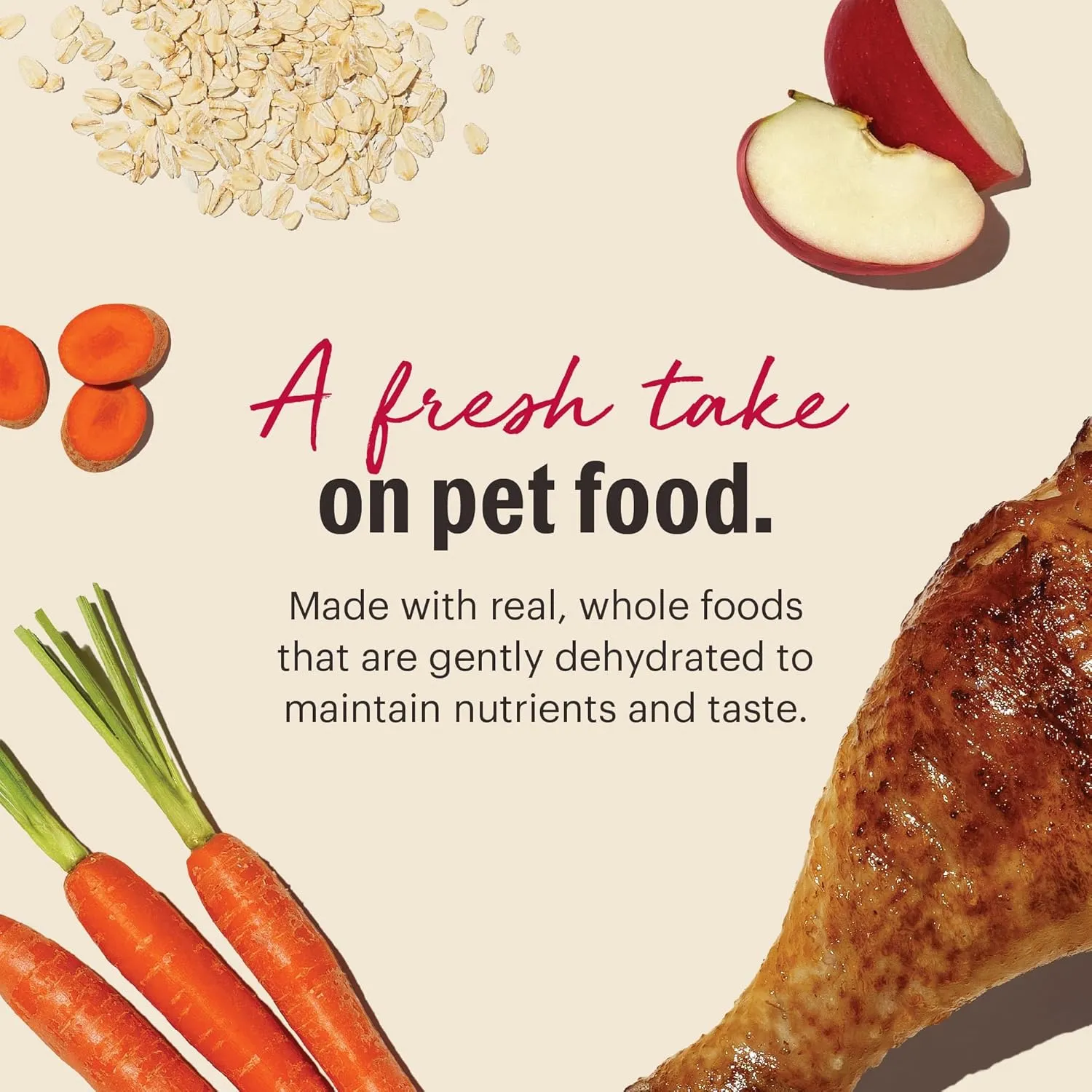 The Honest Kitchen Human Grade Dehydrated Whole Grain Dog Food  Complete Meal or Dog Food Topper  Turkey, 10 Pound (Pack of 1) (makes 40 lbs)