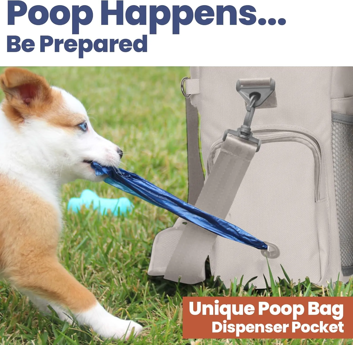 The Original Doggy Bag -  -  -  2  BPA  2  - 