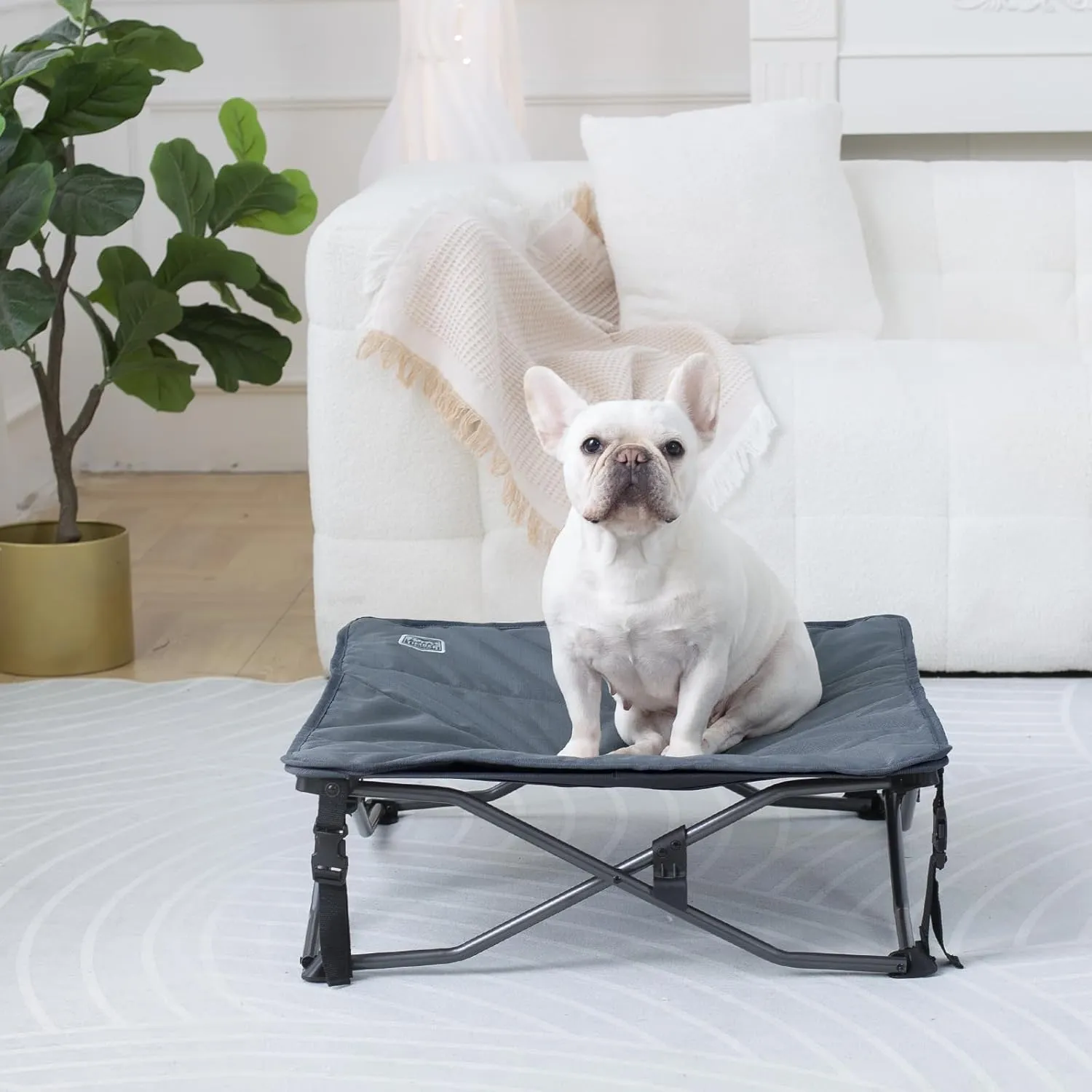 TIMBER RIDGE Small Elevated Dog Bed, 3-in-1 Portable, Folding, and Raised with Removable Pad Mat, Cooling Design for Indoor and Outdoor Use, Grey