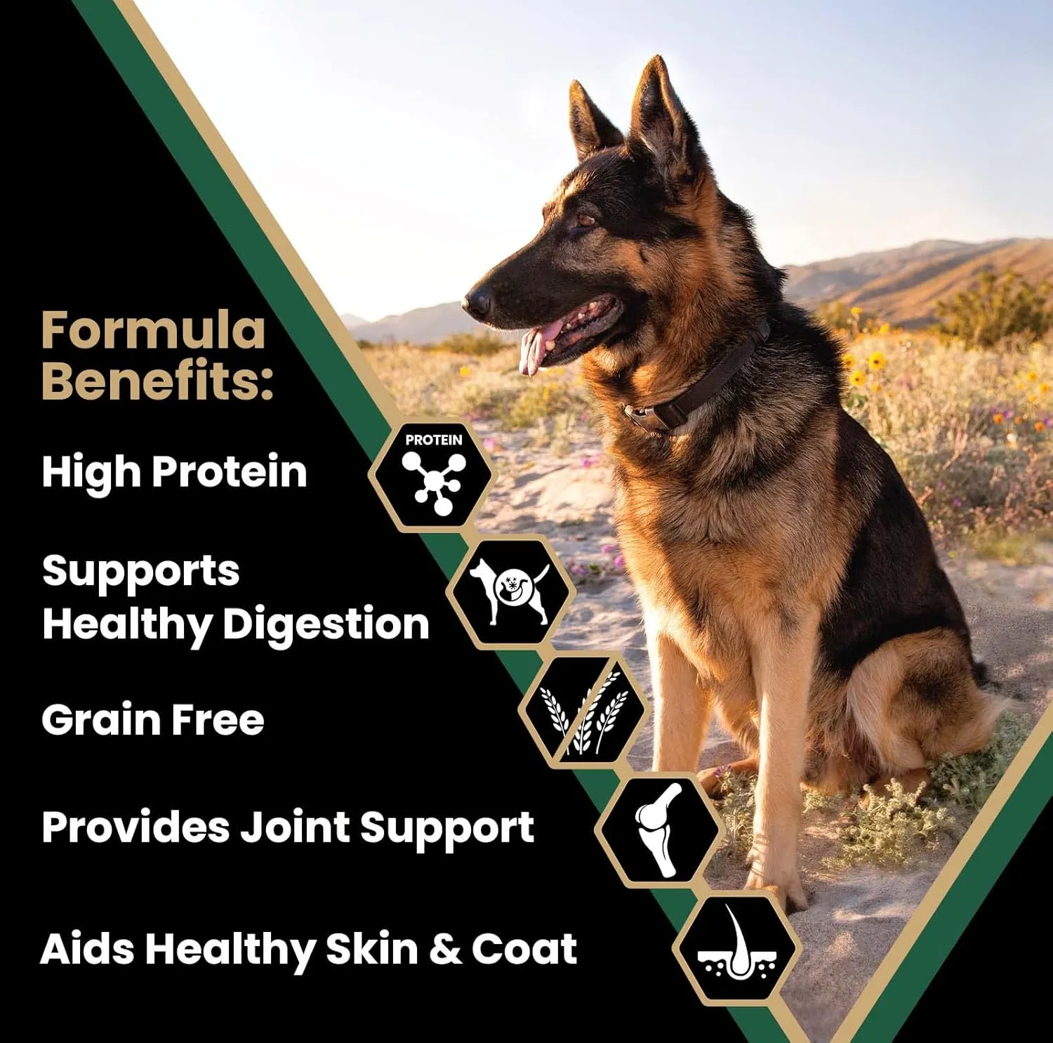 VICTOR Super Premium Dog Food  Purpose Hero Canine Kibble  Premium Gluten Free Dog Food for Active Adult Dogs  High Protein with Glucosamine and Chondroitin for Hip and Joint Health, 5lbs