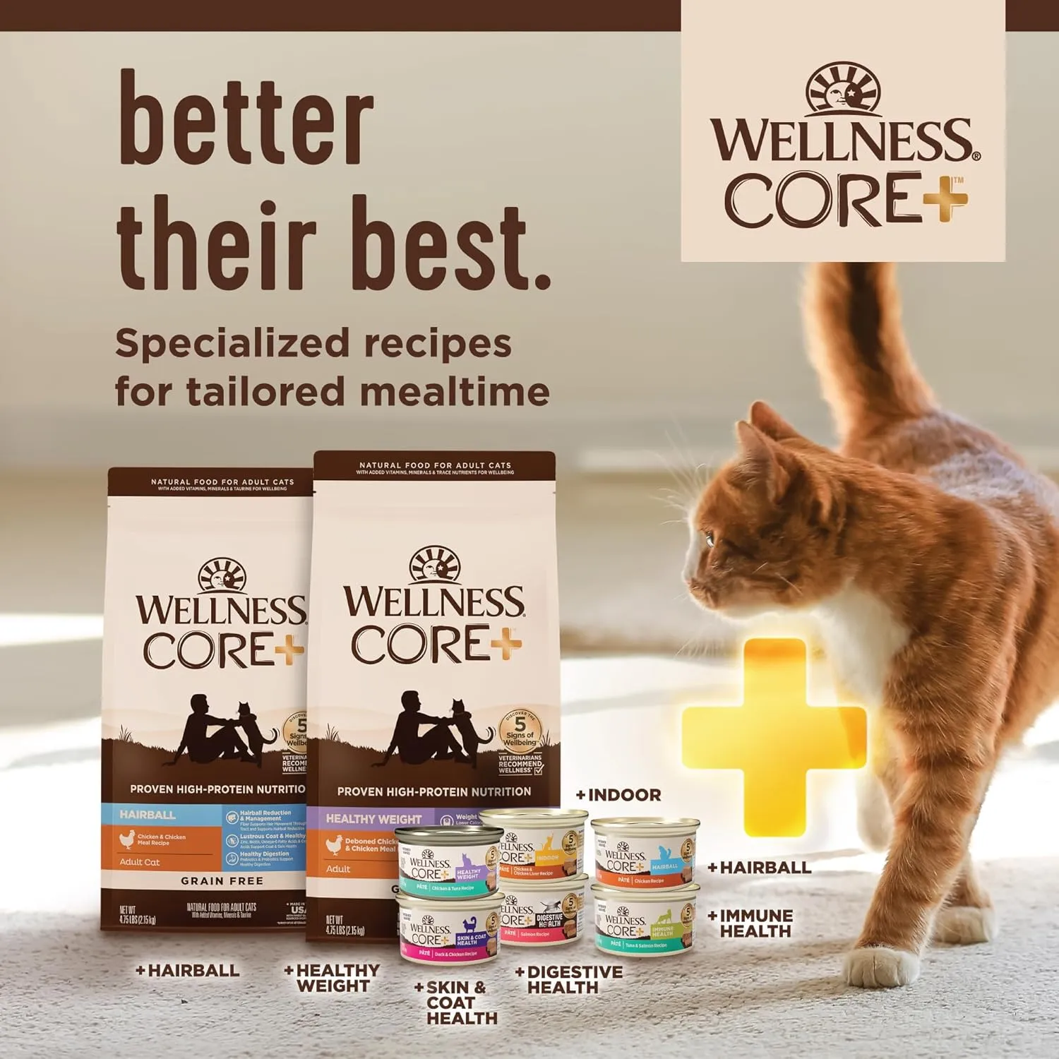 Wellness CORE  Digestive Health Pate Adult Wet Cat Food, Natural, Protein-Rich, Grain Free, 3 Ounce, 12 Pack (Salmon & Whitefish Variety Pack)