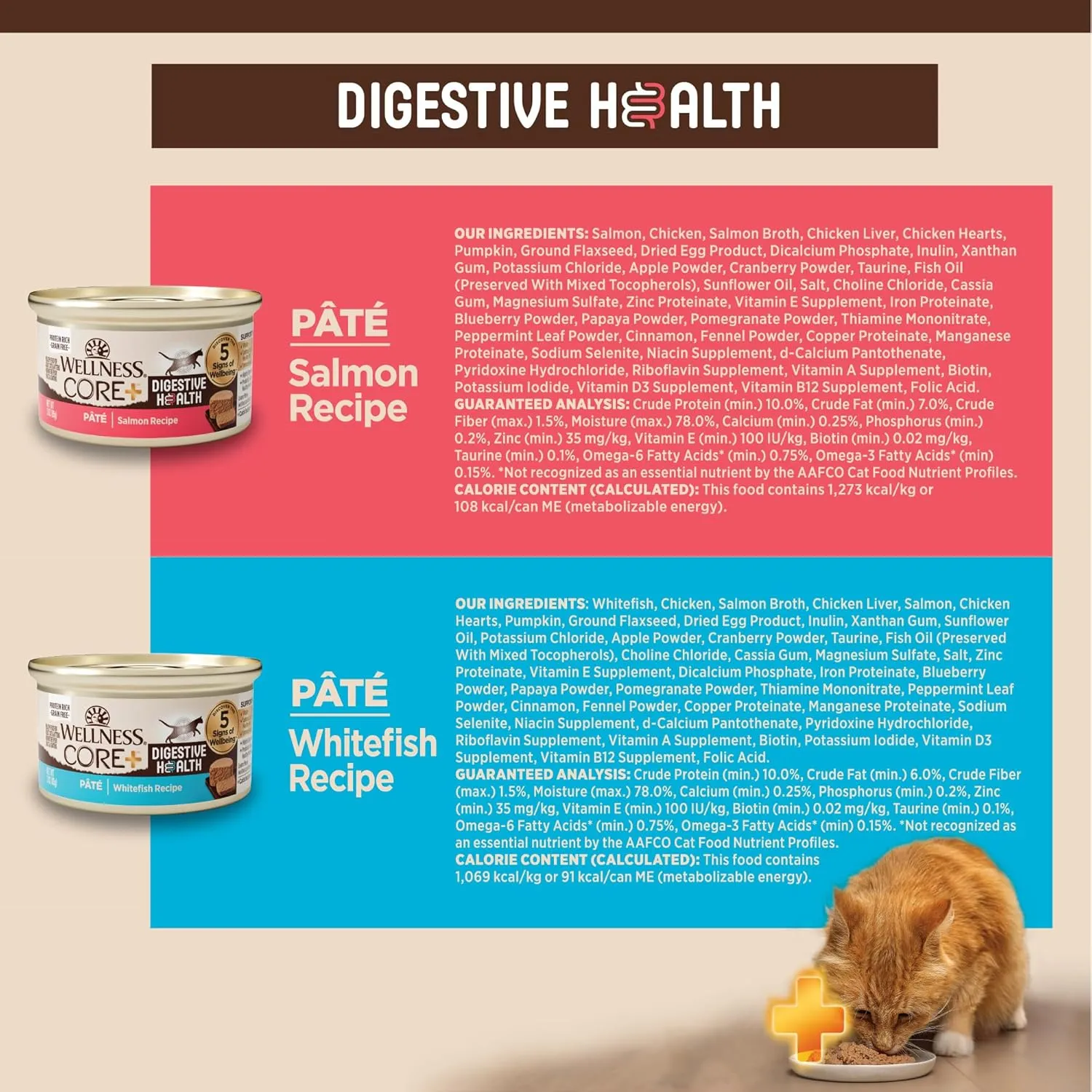 Wellness CORE  Digestive Health Pate Adult Wet Cat Food, Natural, Protein-Rich, Grain Free, 3 Ounce, 12 Pack (Salmon & Whitefish Variety Pack)