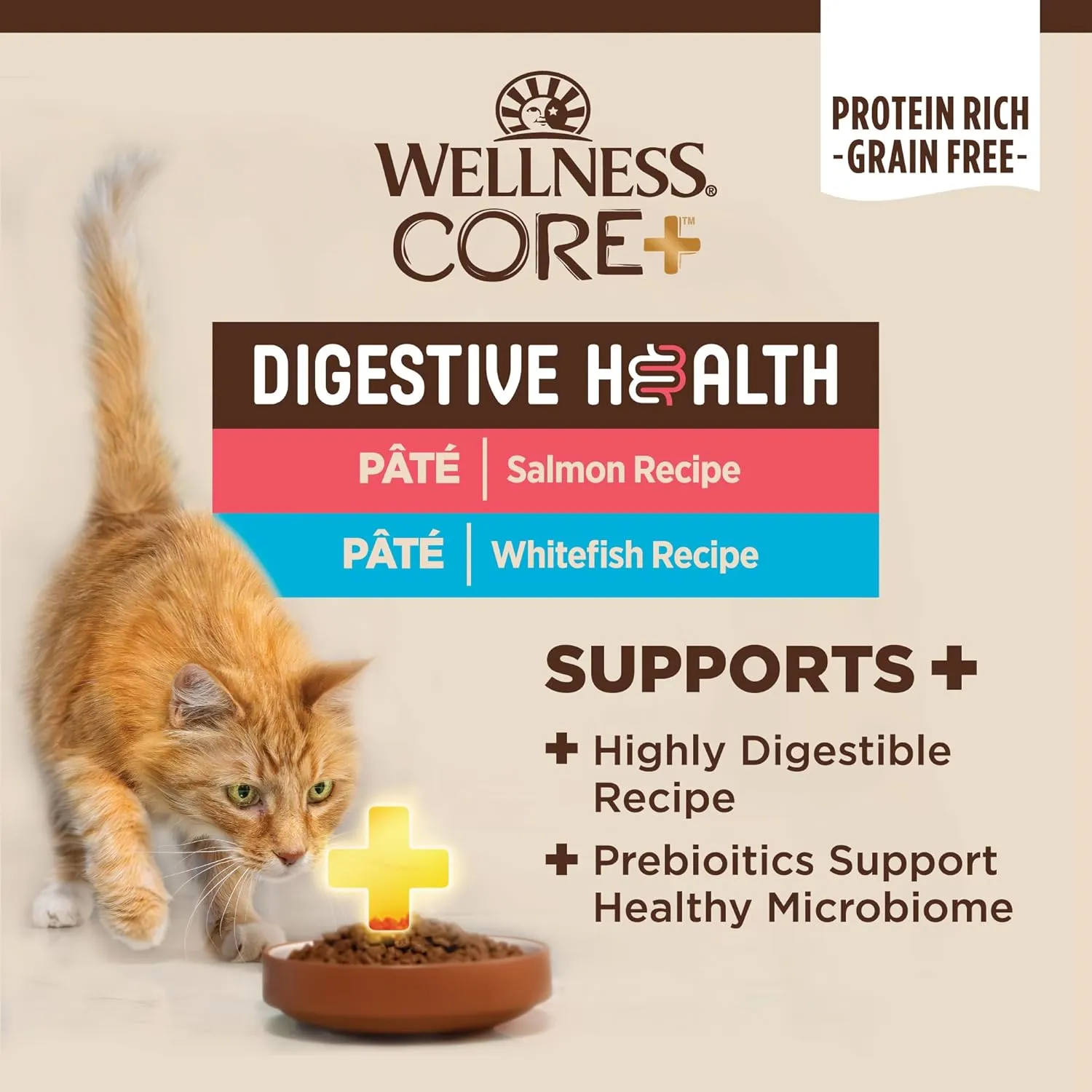 Wellness CORE  Digestive Health Pate Adult Wet Cat Food, Natural, Protein-Rich, Grain Free, 3 Ounce, 12 Pack (Salmon & Whitefish Variety Pack)