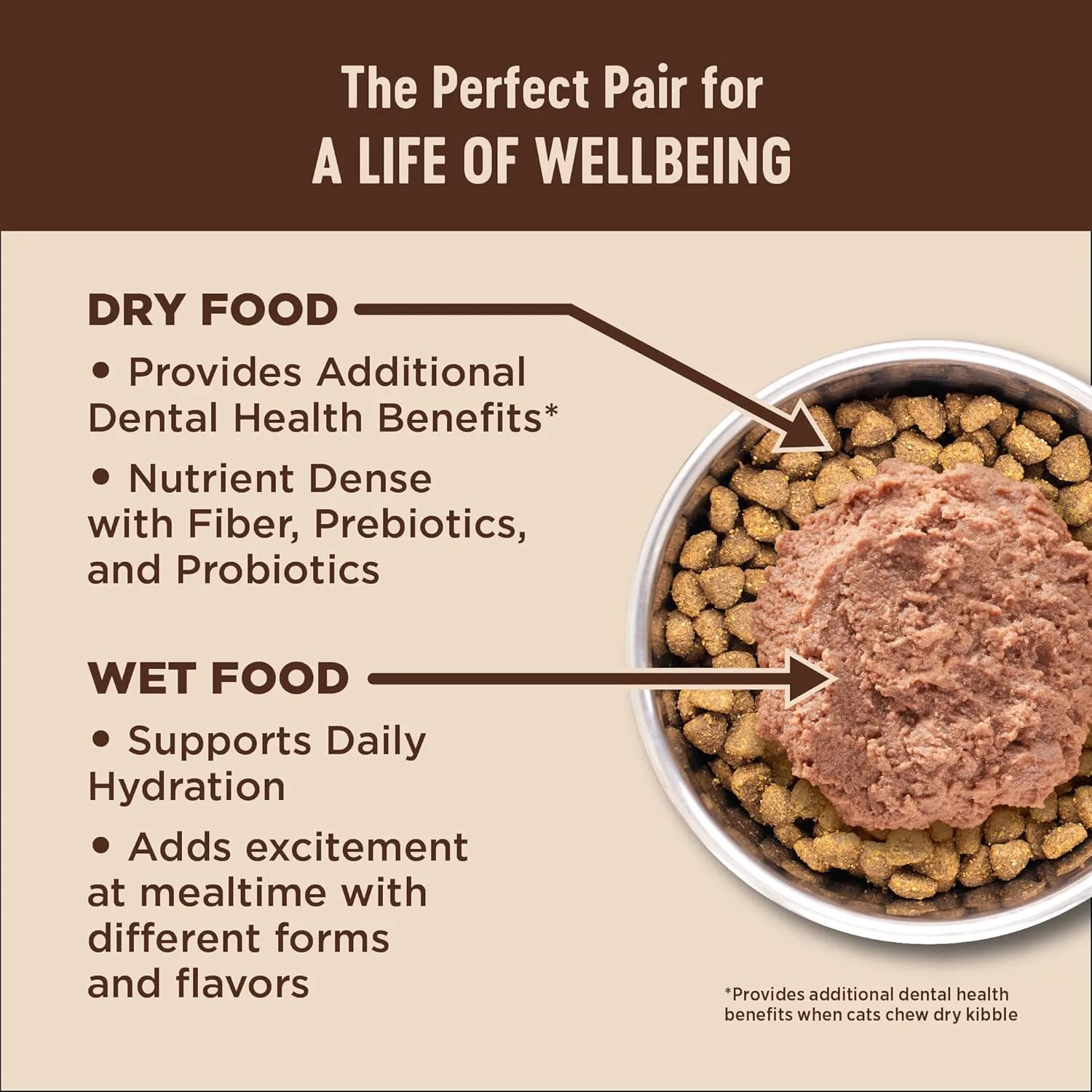 Wellness CORE  Digestive Health Pate Adult Wet Cat Food, Natural, Protein-Rich, Grain Free, 3 Ounce, 12 Pack (Salmon & Whitefish Variety Pack)