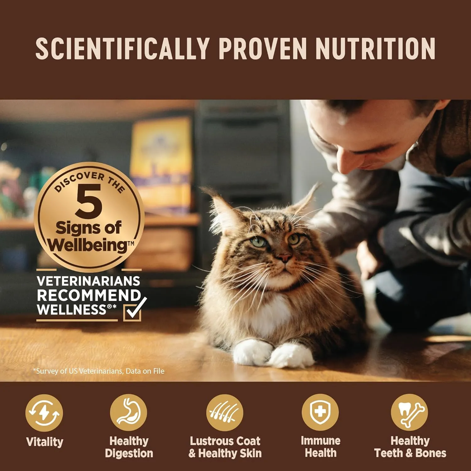 Wellness CORE  Digestive Health Pate Adult Wet Cat Food, Natural, Protein-Rich, Grain Free, 3 Ounce, 12 Pack (Salmon & Whitefish Variety Pack)