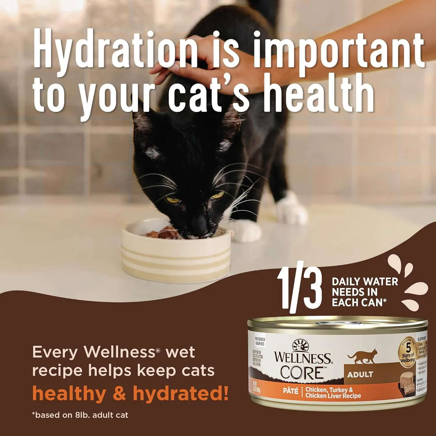 Wellness CORE  Digestive Health Pate Adult Wet Cat Food, Natural, Protein-Rich, Grain Free, 3 Ounce, 12 Pack (Salmon & Whitefish Variety Pack)