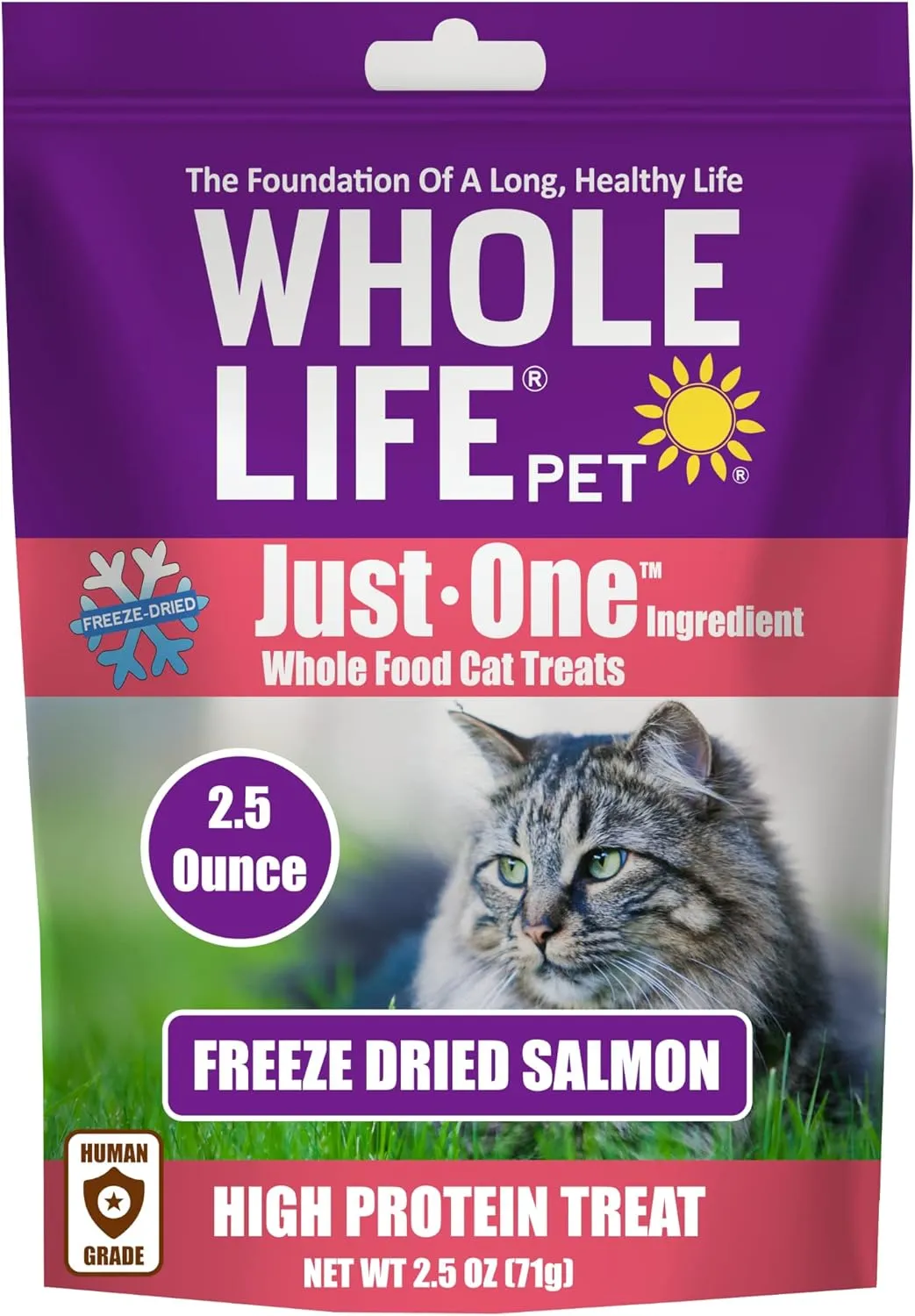 Whole Life Pet Freeze Dried Chicken Cat Treats   Whole Life Pet Just One Salmon - Cat Treats and Toppers