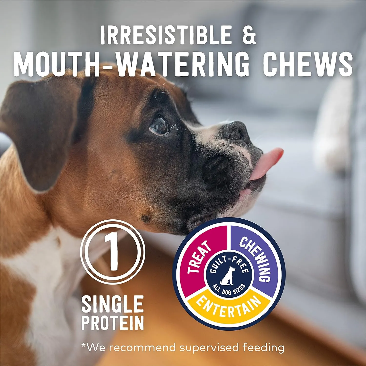 ZIWI Dog Chews and Treats  Lamb Ears - All Natural, Air-Dried, Single Protein, Grain-Free, High-Value Treat, Snack, Reward 2.1 Ounce (Pack of 1)