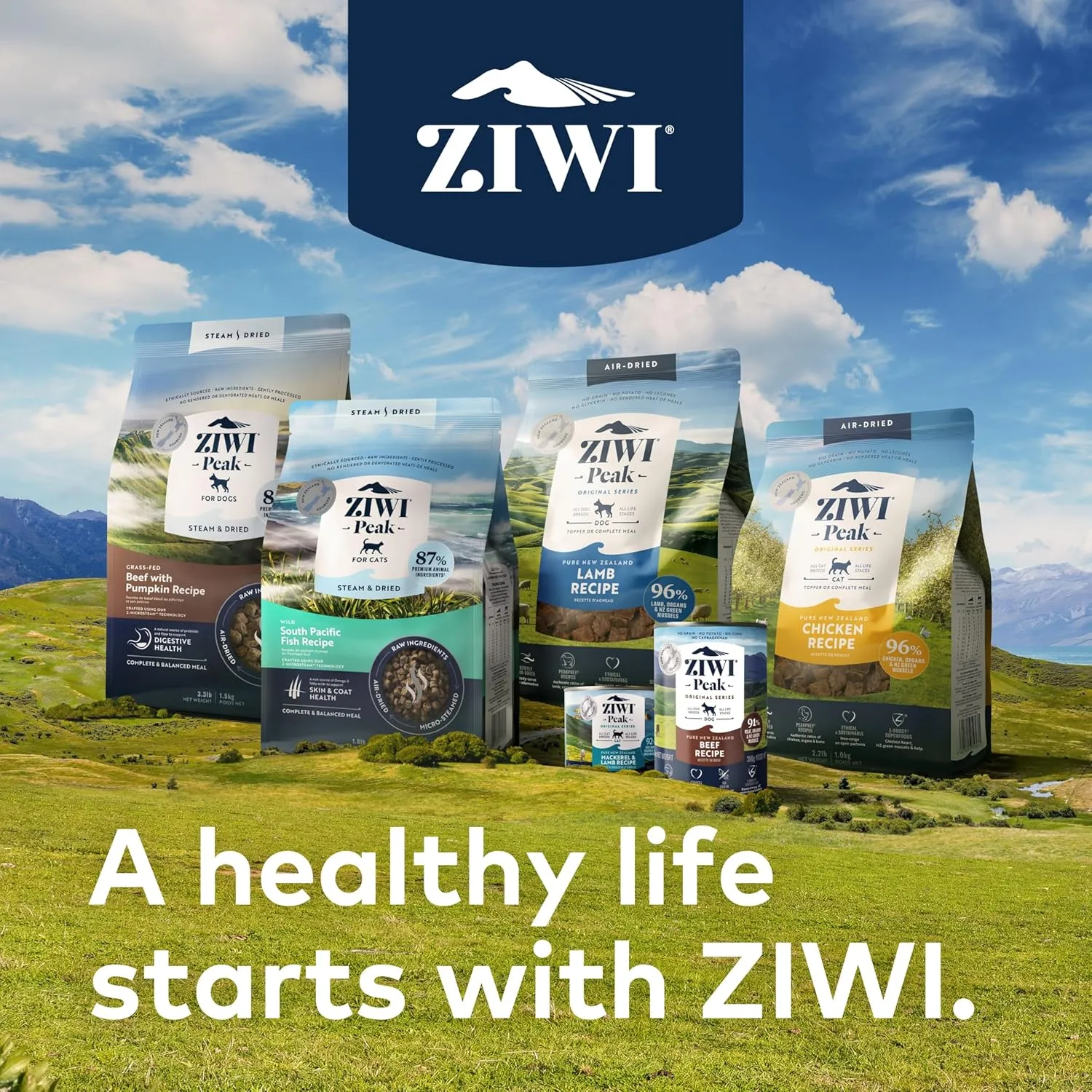 ZIWI Peak Canned Wet Cat Food  All Natural, High Protein, Grain Free, Limited Ingredient, with Superfoods, Lamb, 6.5 Ounce (Pack of 12)